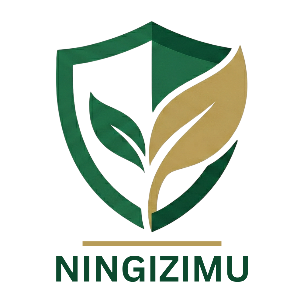 Ningizimu